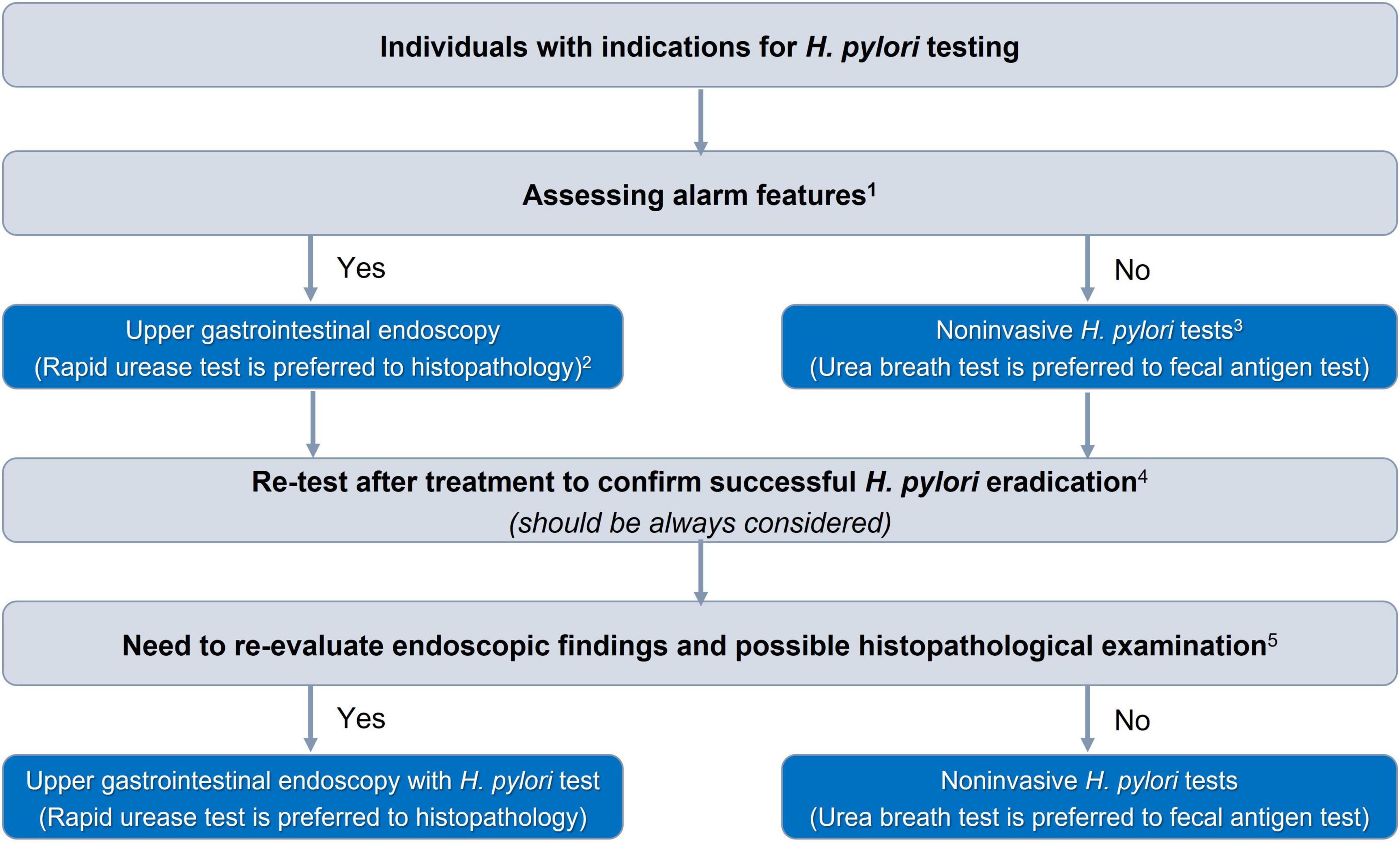 Vietnam Association of Gastroenterology (VNAGE) consensus on the management of Helicobacter pylori infection